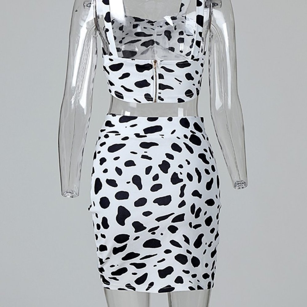Two-piece leopard print skirt set - Picture 6 of 7